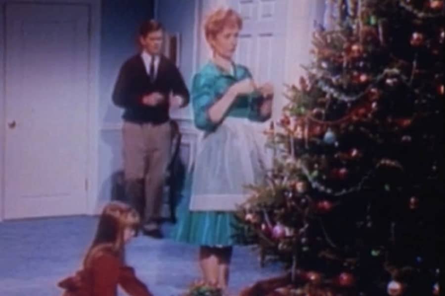 the family decorating the Christmas tree