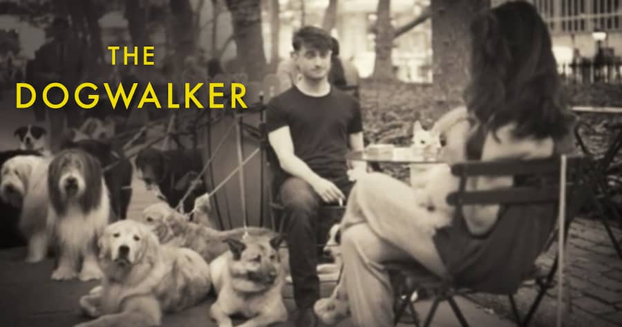 The Dogwalker