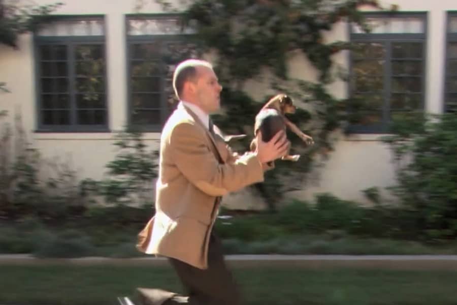 Wrench runs down a residential street carrying a small puppy in his hands